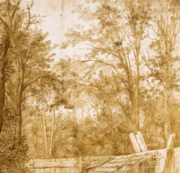 Árboles detrás de una cerca de madera, c. 1638-1642